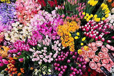 《勇气默示录2》3周年 制作人确定年内有新动态